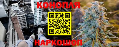 дмт Камышлов