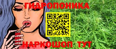 дмт Камышлов