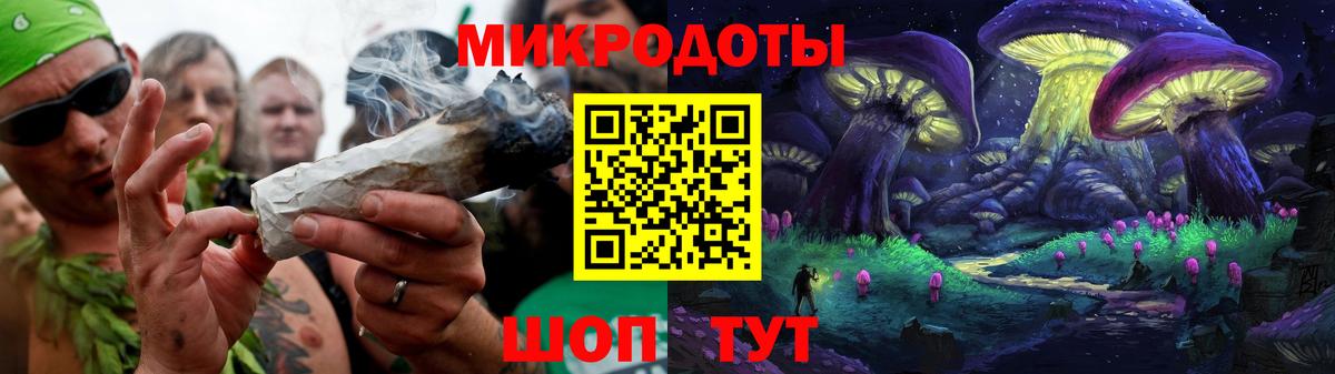 Псилоцибиновые грибы Cubensis Котовск