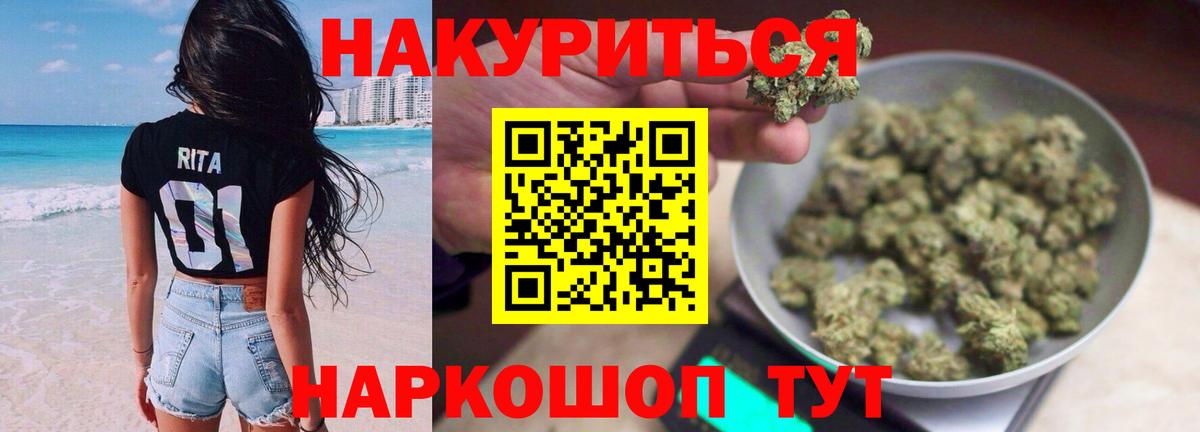 Канабис сатива Котовск